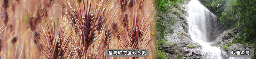 福崎町特産もち麦 七種の滝
